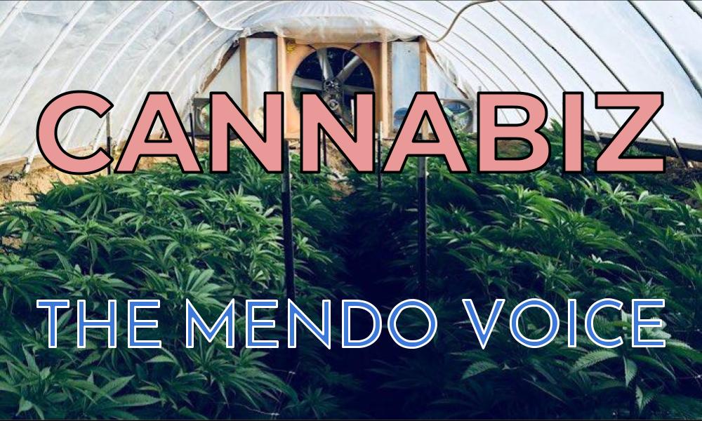 State water agencies holding online cannabis cultivation workshop on Nov. 12 - mendovoice.com